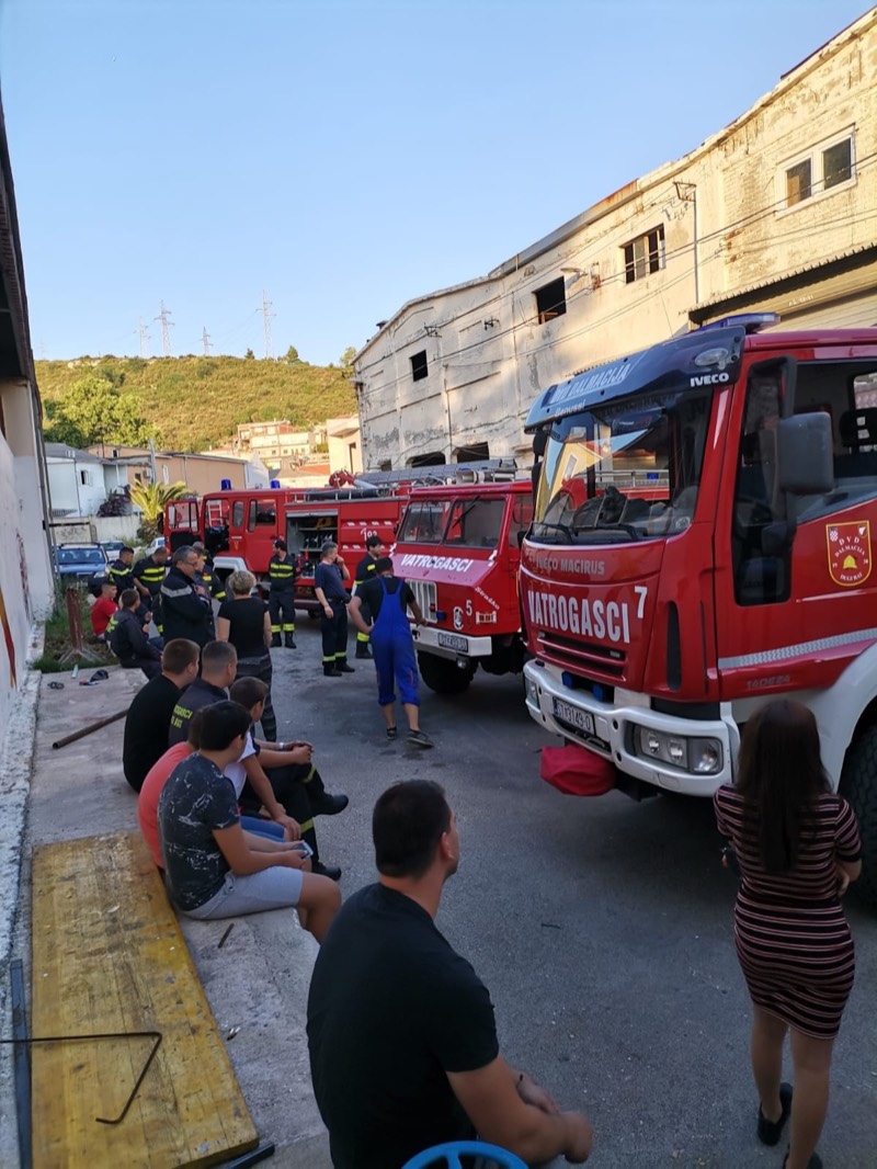 DVD Dalmacija - aktivnosti 2